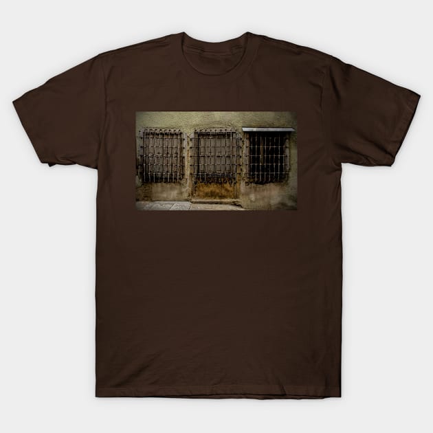 Windows in Buzet, Croatia T-Shirt by jojobob